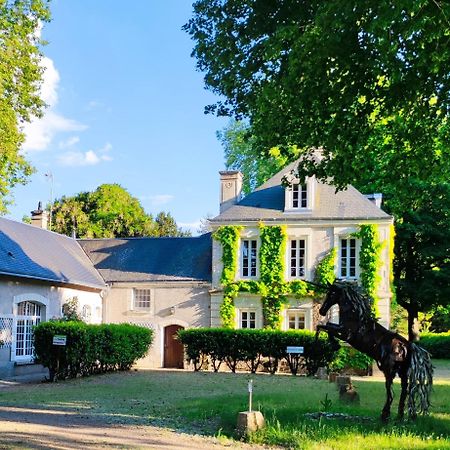 Chambres D'Hotes Du Domaine De L'Isle Civray-de-Touraine Buitenkant foto